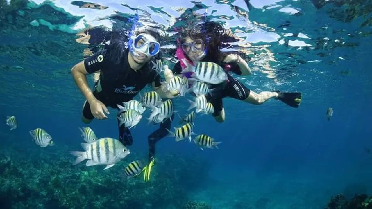 Snorkelling tour in Coral beach near Varadero Cuba